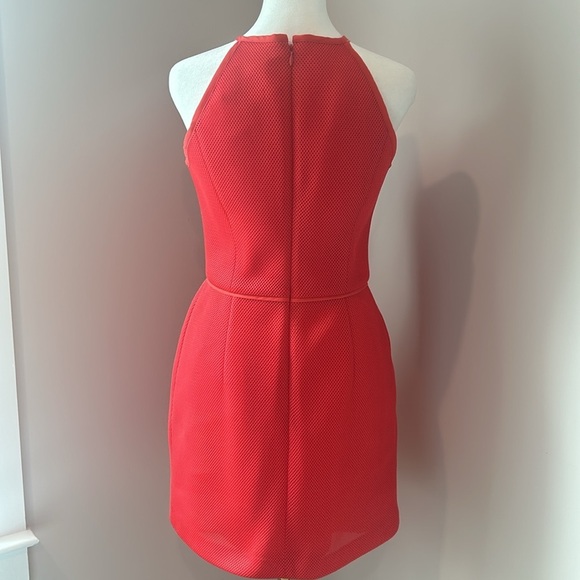 RACHEL Rachel Roy Hot Coral Halter Mesh Scuba Pleated Mini Dress Size Medium EUC - Picture 4 of 8